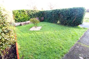 Front Garden- click for photo gallery